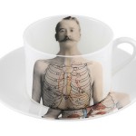 anatomica-cup-coffee