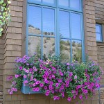 window-boxes-12