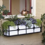 window-boxes-2