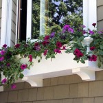 window-boxes-3