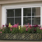 window-boxes-6