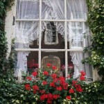 window-boxes-7