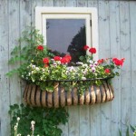 window-boxes-8