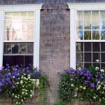 window-boxes-9